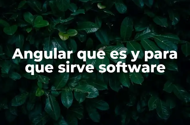 Angular que es y para que Sirve Software 2 Cómo Angular transforma el desarrollo web moderno