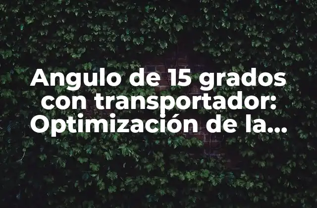 Angulo de 15 Grados con Transportador: Optimización de la Eficiencia en la Manipulación de Materiales