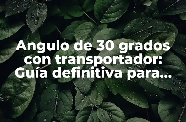 Angulo de 30 Grados con Transportador: Guía Definitiva para Optimizar la Eficiencia