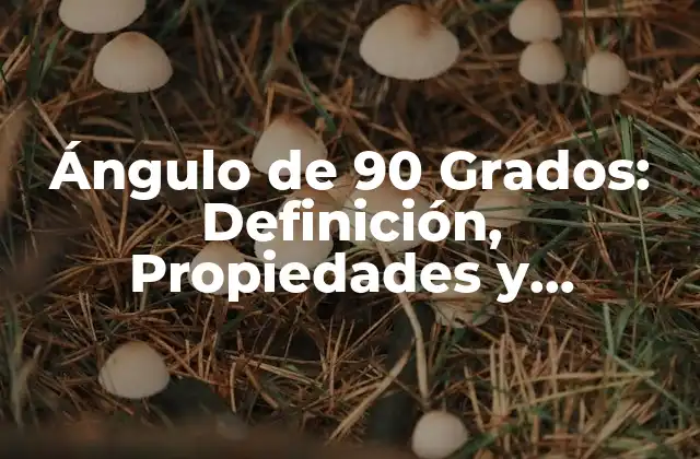 Ángulo de 90 Grados: Definición, Propiedades y Aplicaciones