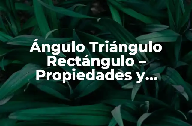 Ángulo Triángulo Rectángulo – Propiedades y Aplicaciones