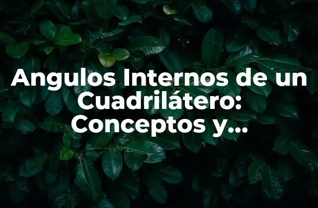 Angulos Internos de un Cuadrilátero: Conceptos y Propiedades
