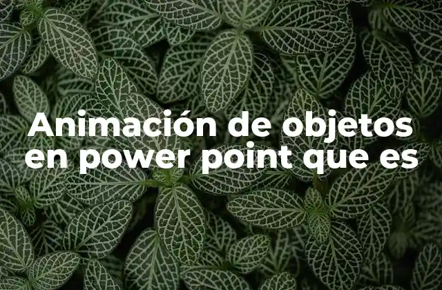 Animación de Objetos en Power Point que es