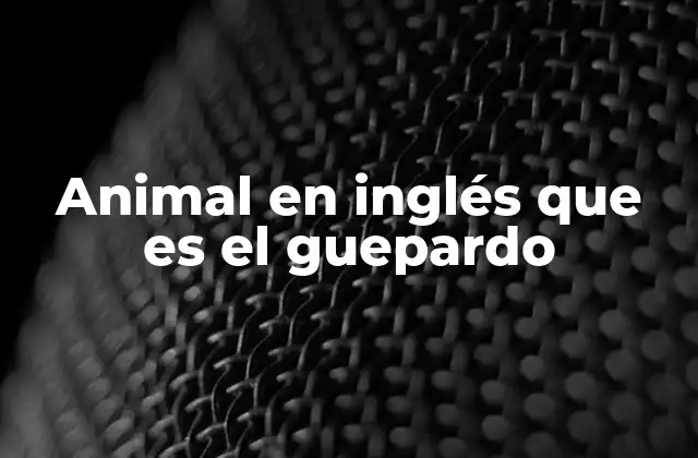 Animal en Inglés que es el Guepardo