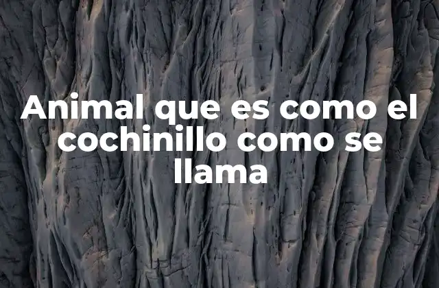 Animal que es como el Cochinillo como Se Llama 2 Animales con hábitos similares al cochinillo