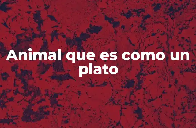 Animal que es como un Plato