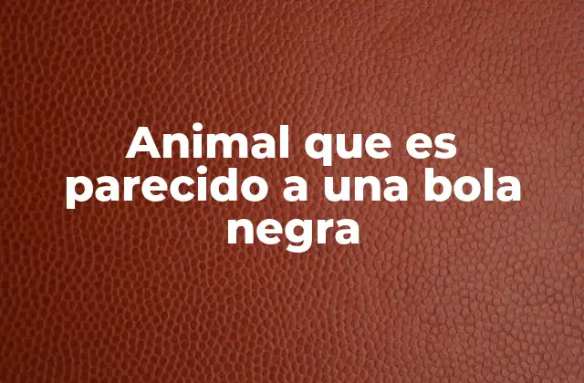 Animal que es Parecido a una Bola Negra