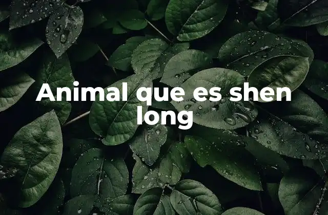 Animal que es Shen Long 2 La evolución mítica del dragón Shen Long en la cultura china