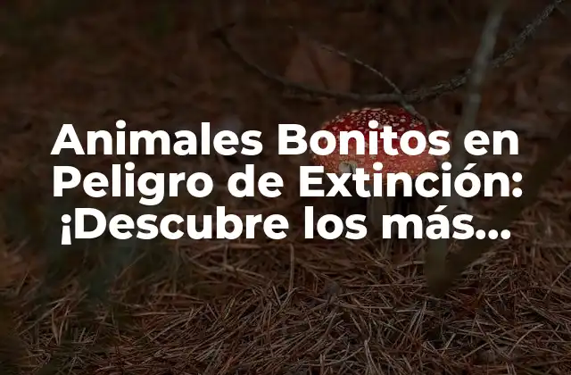 Animales Bonitos en Peligro de Extinción: ¡descubre los Más Vulnerables!