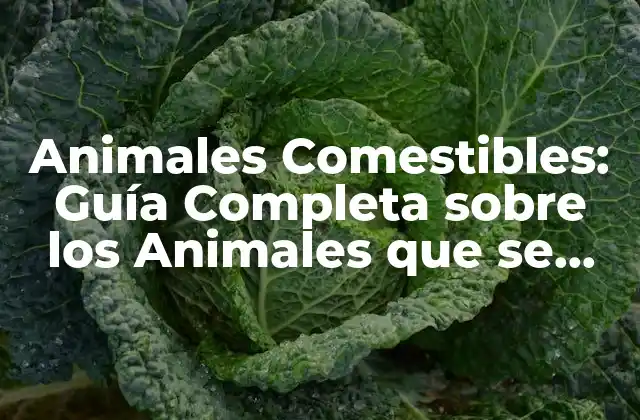 Animales Comestibles: Guía Completa sobre los Animales que Se Pueden Comer