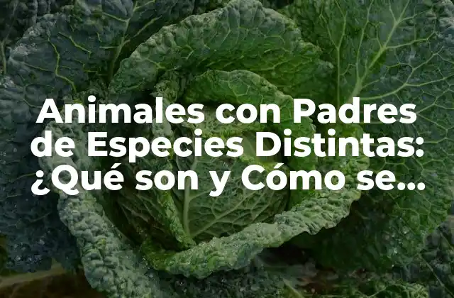 Animales con Padres de Especies Distintas: ¿qué Son y Cómo Se Forman?