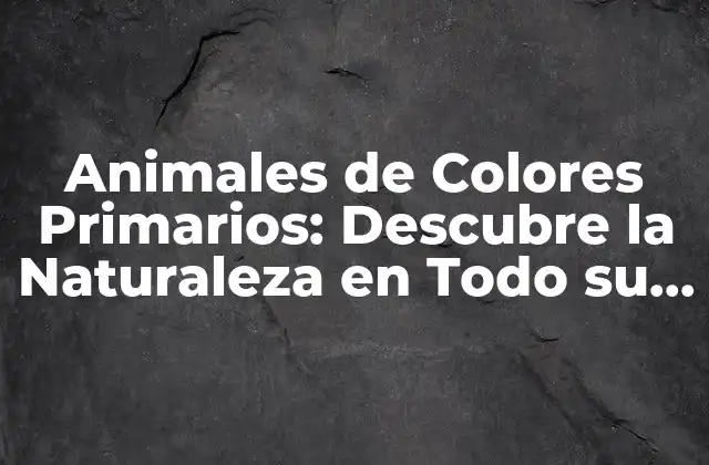 Animales de Colores Primarios: Descubre la Naturaleza en Todo Su Esplendor