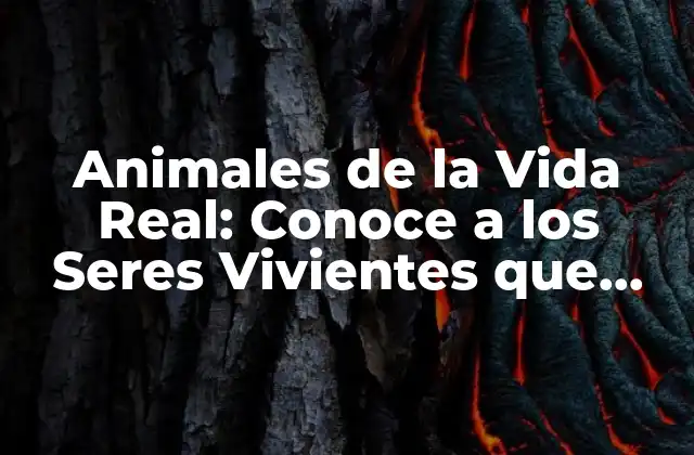 Animales de la Vida Real: Conoce a los Seres Vivientes que Nos Rodean