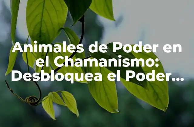 Animales de Poder en el Chamanismo: Desbloquea el Poder de la Naturaleza