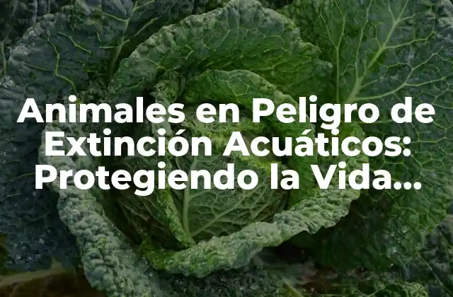 Animales en Peligro de Extinción Acuáticos: Protegiendo la Vida Marina