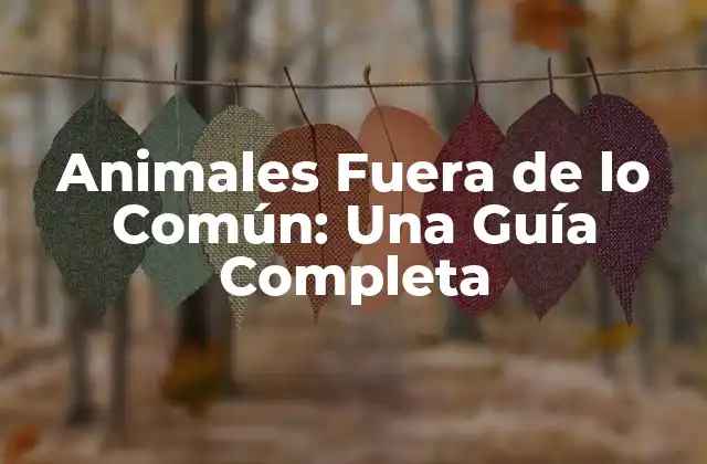 Animales Fuera de Lo Común: una Guía Completa