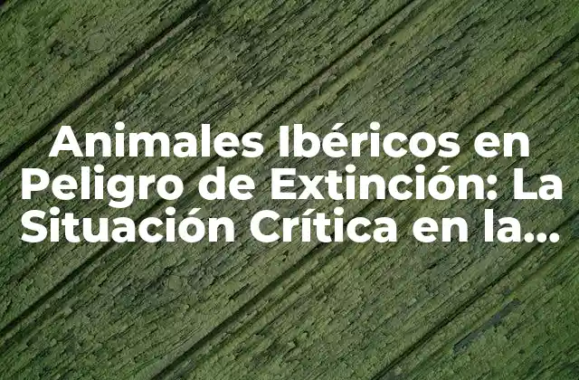 Animales Ibéricos en Peligro de Extinción: la Situación Crítica en la Península Ibérica