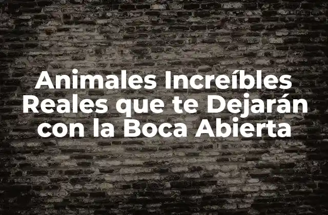 Animales Increíbles Reales que Te Dejarán con la Boca Abierta