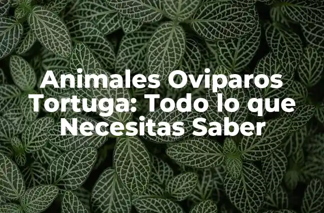 Animales Oviparos Tortuga: Todo Lo que Necesitas Saber