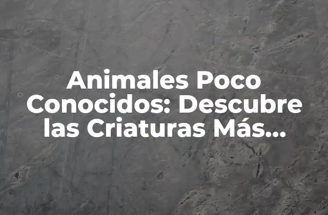Animales Poco Conocidos: Descubre las Criaturas Más Inusuales Del Planeta
