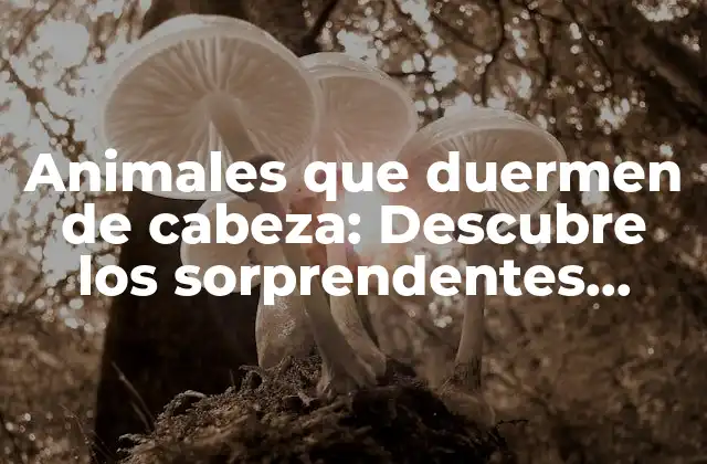 Animales que Duermen de Cabeza: Descubre los Sorprendentes Hábitos de Sueño