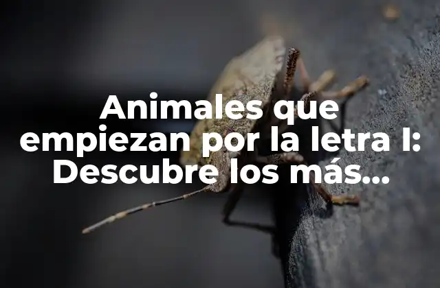 Animales que Empiezan por la Letra I: Descubre los Más Fascinantes