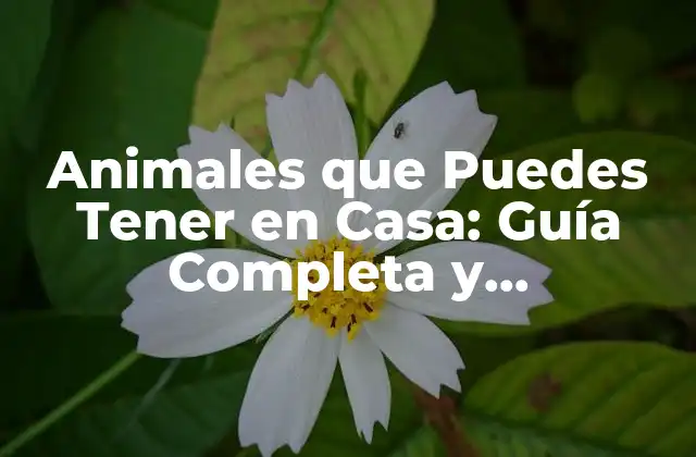 Animales que Puedes Tener en Casa: Guía Completa y Actualizada