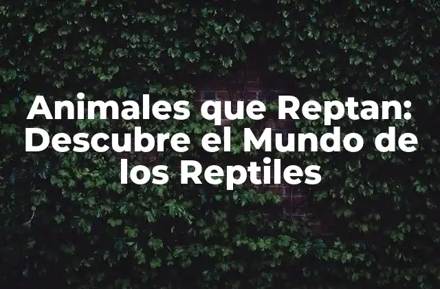 Animales que Reptan: Descubre el Mundo de los Reptiles