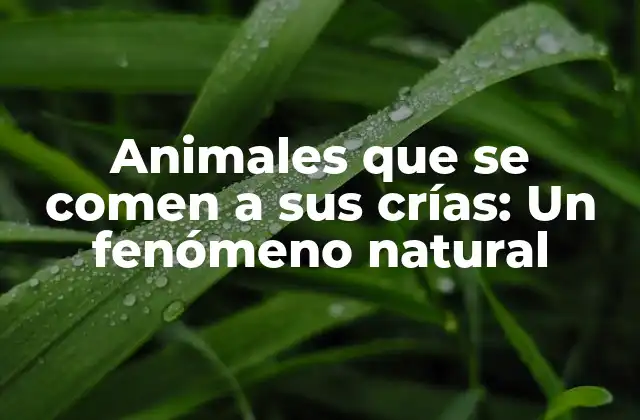 Animales que Se Comen a Sus Crías: un Fenómeno Natural