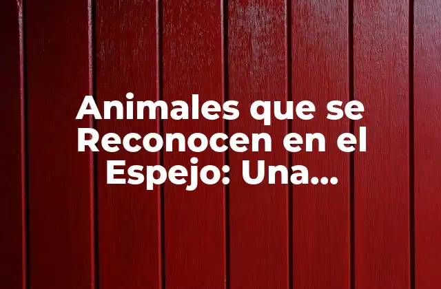 Animales que Se Reconocen en el Espejo: una Capacitación Cognitiva Única
