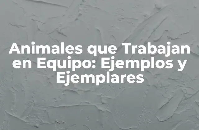 Animales que Trabajan en Equipo: Ejemplos y Ejemplares