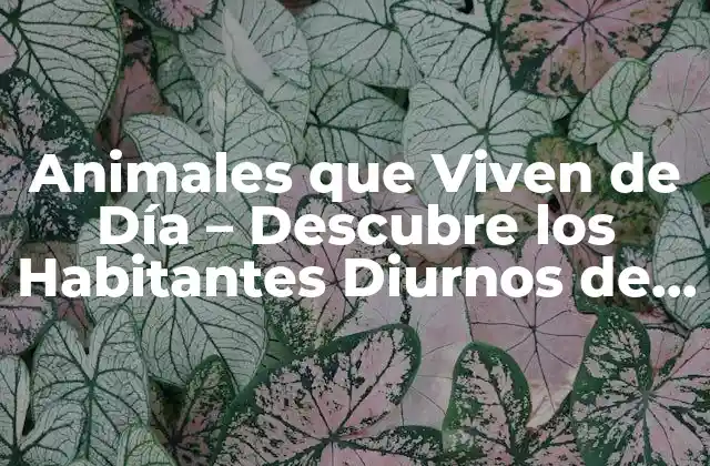 Animales que Viven de Día – Descubre los Habitantes Diurnos de la Naturaleza