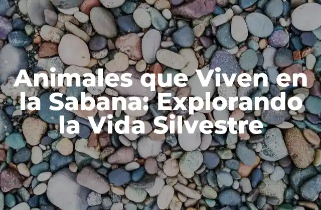 Animales que Viven en la Sabana: Explorando la Vida Silvestre
