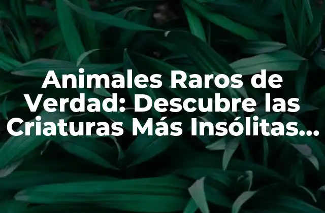 Animales Raros de Verdad: Descubre las Criaturas Más Insólitas Del Mundo