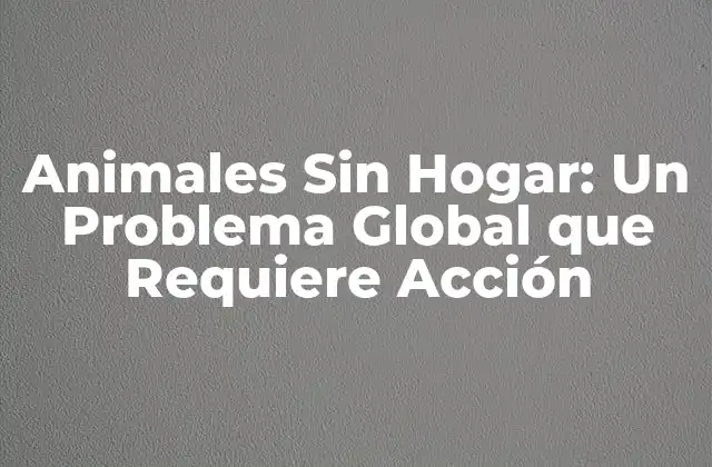 Animales sin Hogar: un Problema Global que Requiere Acción