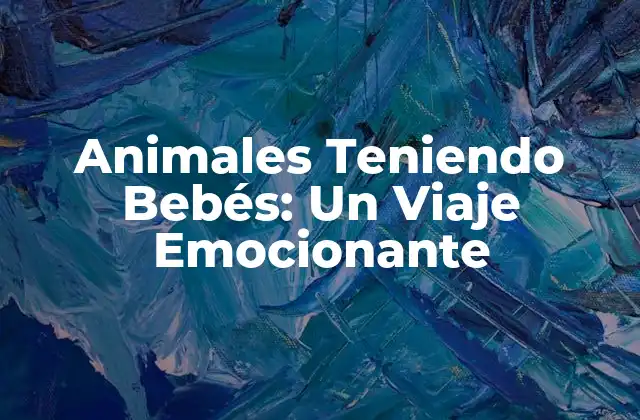 Animales Teniendo Bebés: un Viaje Emocionante