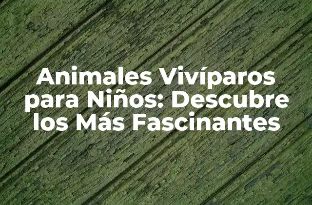Animales Vivíparos para Niños: Descubre los Más Fascinantes