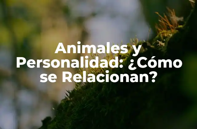 La Teoría de la Personalidad en Animales