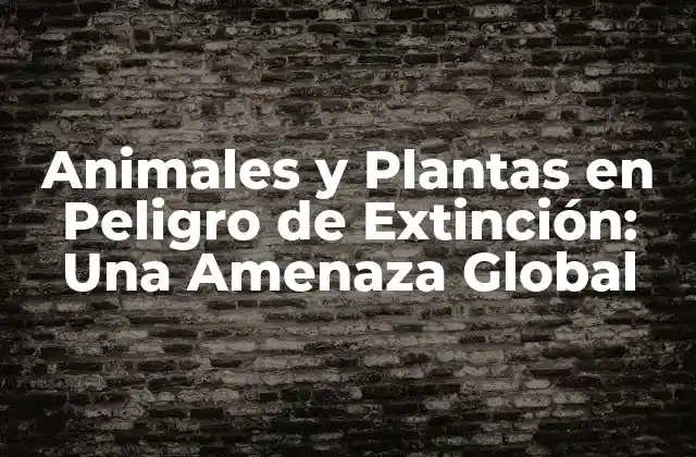 Animales y Plantas en Peligro de Extinción: una Amenaza Global