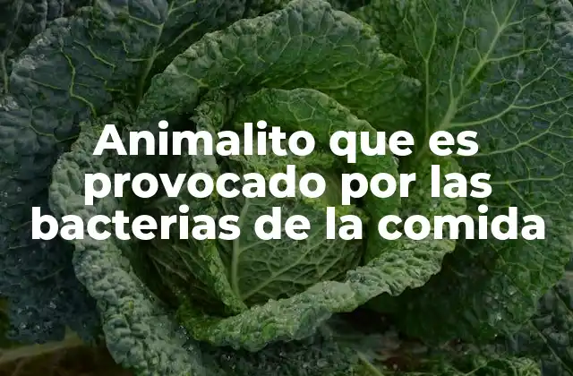 Animalito que es Provocado por las Bacterias de la Comida