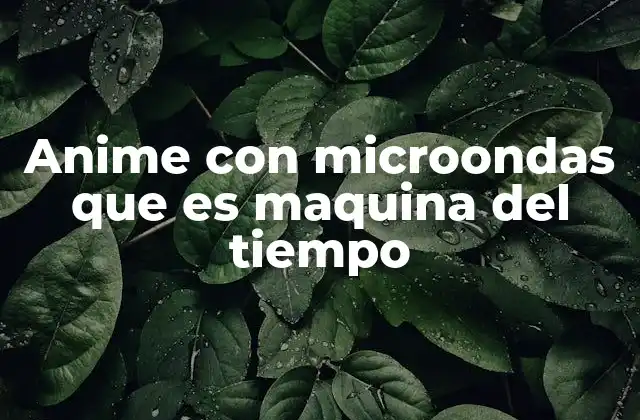 Anime con Microondas que es Maquina Del Tiempo
