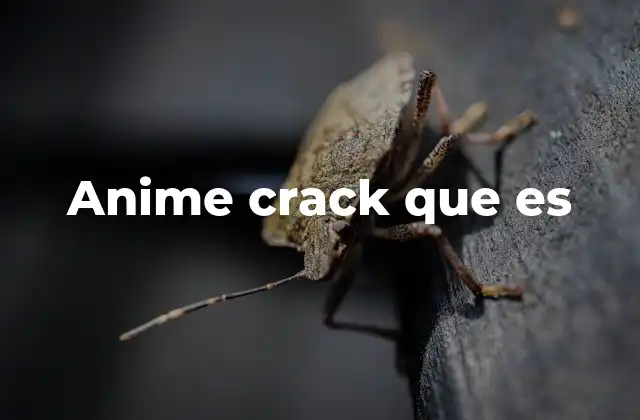 Anime Crack que es