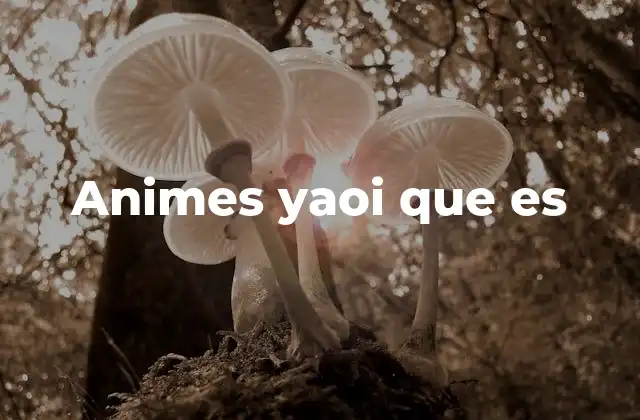 Animes Yaoi que es