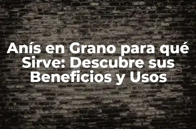 Anís en Grano para Qué Sirve: Descubre Sus Beneficios y Usos