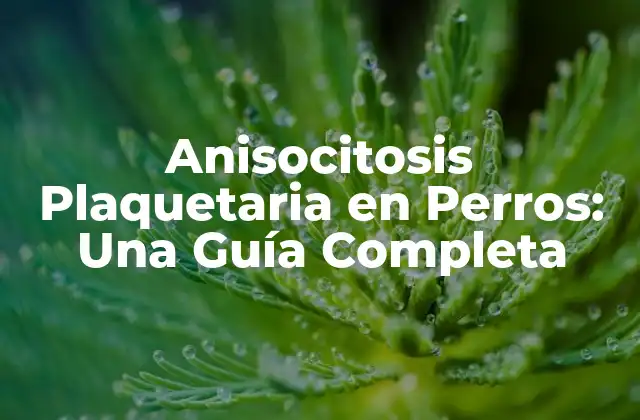 Anisocitosis Plaquetaria en Perros: una Guía Completa