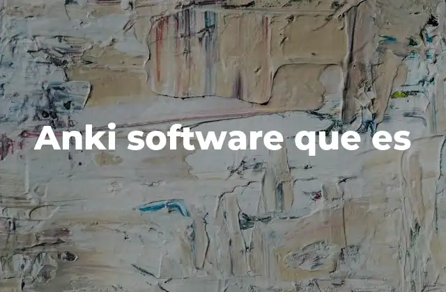 Anki Software que es