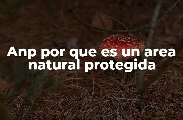 Anp por que es un Area Natural Protegida 2 La importancia de los espacios reservados para la naturaleza