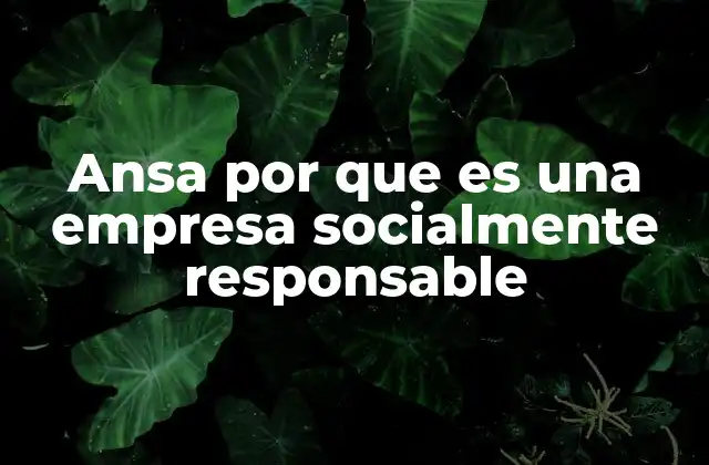 Ansa por que es una Empresa Socialmente Responsable