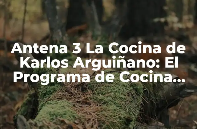 Antena 3 la Cocina de Karlos Arguiñano: el Programa de Cocina Más Popular de España