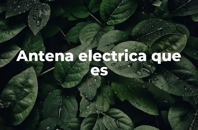 Antena Electrica que es